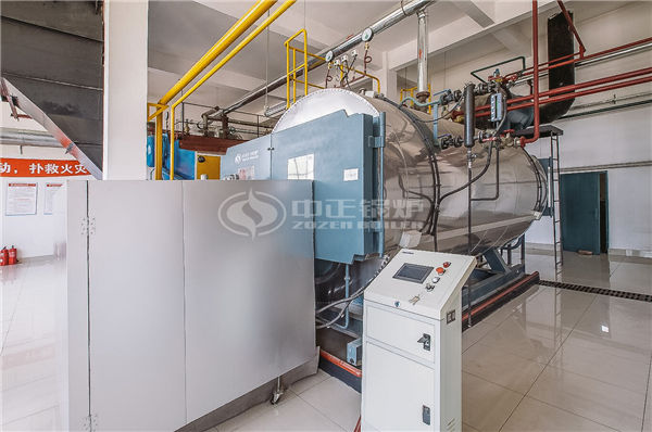 生物質熱水鍋爐廠家