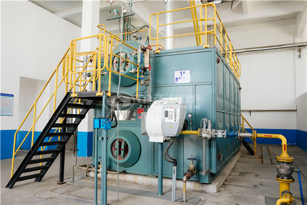 沼氣鍋爐選型