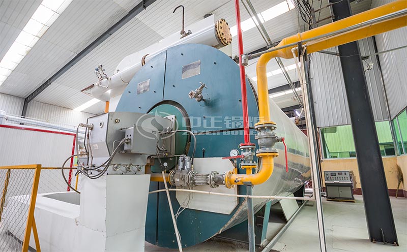 65噸燃煤鍋爐客戶案例圖片