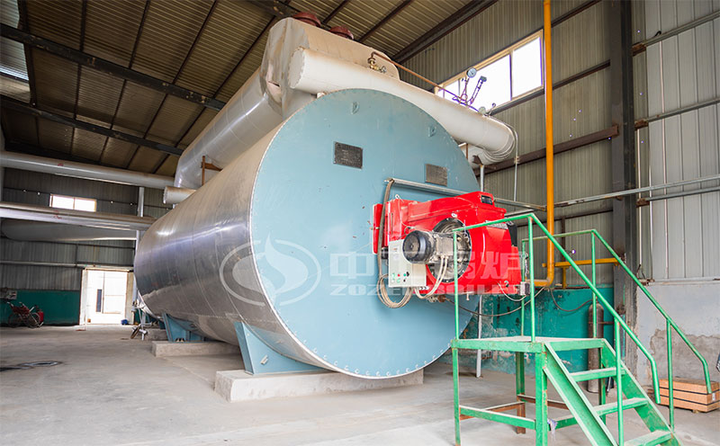 哈爾濱生物質蒸汽鍋爐廠家客戶案例圖片