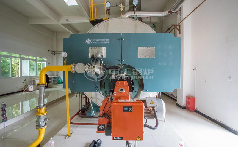 65噸燃煤鍋爐客戶案例圖片