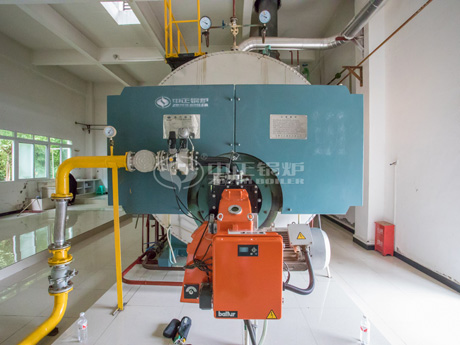 中魯果蔬汁6噸WNS冷凝式燃?xì)庹羝仩t項(xiàng)目