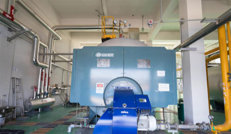 天然氣蒸汽鍋爐多少錢(qián)_在線獲取報(bào)價(jià)