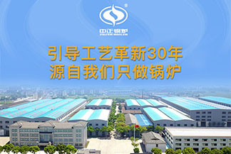 低氮燃?xì)庹羝仩t廠家