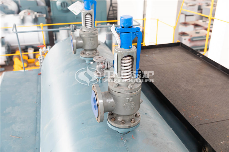 四噸燃?xì)庹羝麪t多少萬(wàn)元買到