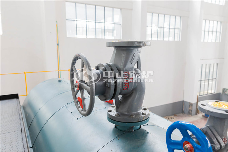 6噸燃?xì)庹羝仩t價(jià)格貴嗎