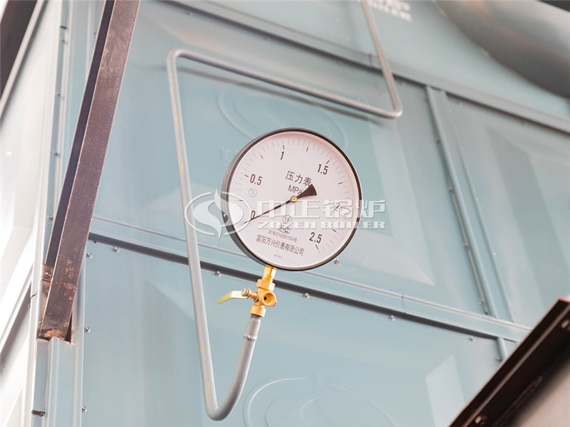 十噸燃?xì)庹羝仩t多少錢一臺