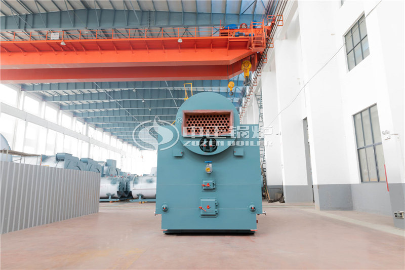 4噸燃?xì)庹羝仩t制造商