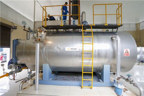 一臺25T燃?xì)庹羝仩t多貴